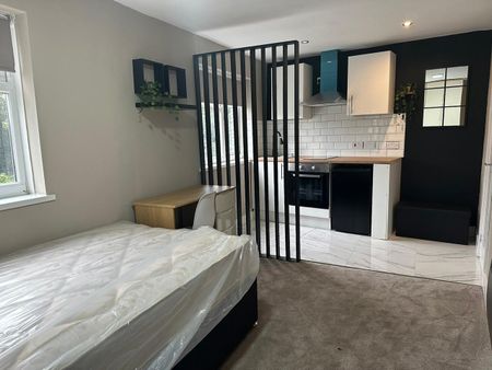 Studio Flat, Teignmouth Road, B29 - Photo 2