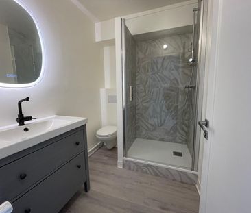 Location Appartement 1 pièce 96m² TOURS 37000 - Photo 6