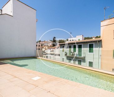 Apartment for rent in El Terreno - Photo 5