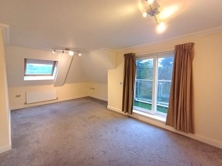 Christchurch Road, Bournemouth - Photo 3