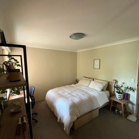 Manly Vale - Photo 4