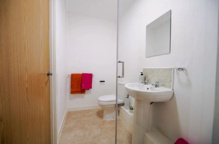 Premium Studio - Photo 5