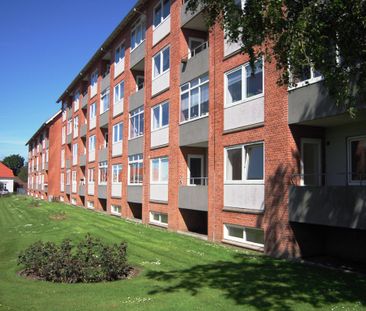 7800, Skive - Photo 6