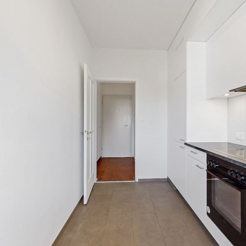 Un appartement spacieux à proximité de la gare Cornavin et des Nations - Photo 1