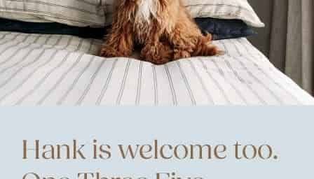 Welcome home to One Three Five Victoria Street - Photo 2