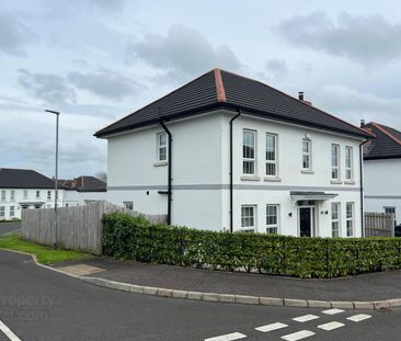 56 Farm Lodge Lane, Magherafelt, Derry, BT45 5HF - Photo 3