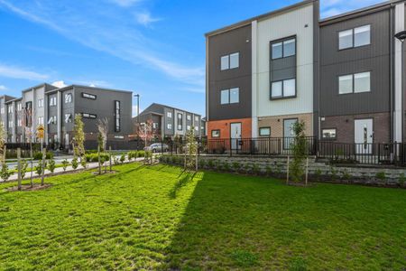 Brand new 4 bedroom townhouse in Glen Eden - Photo 4