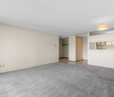 1 Br Heart of Downtown Calgary - Photo 3