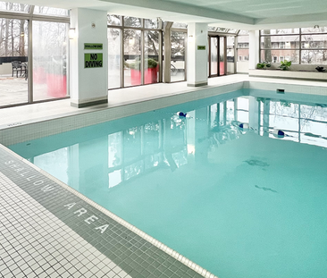 Silver Spear - Photo 6