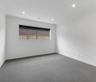 Brand New Family Home with Bush Views & Modern Comforts - Photo 1