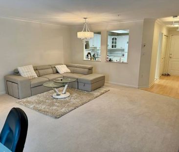 Spacious 1 Bed + 1.5 Bath Apartment Heating & Hot Water Included - Photo 2