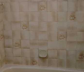 4 1/2 à Mascouche /Terrebonne disponible avril ou juillet - Photo 2