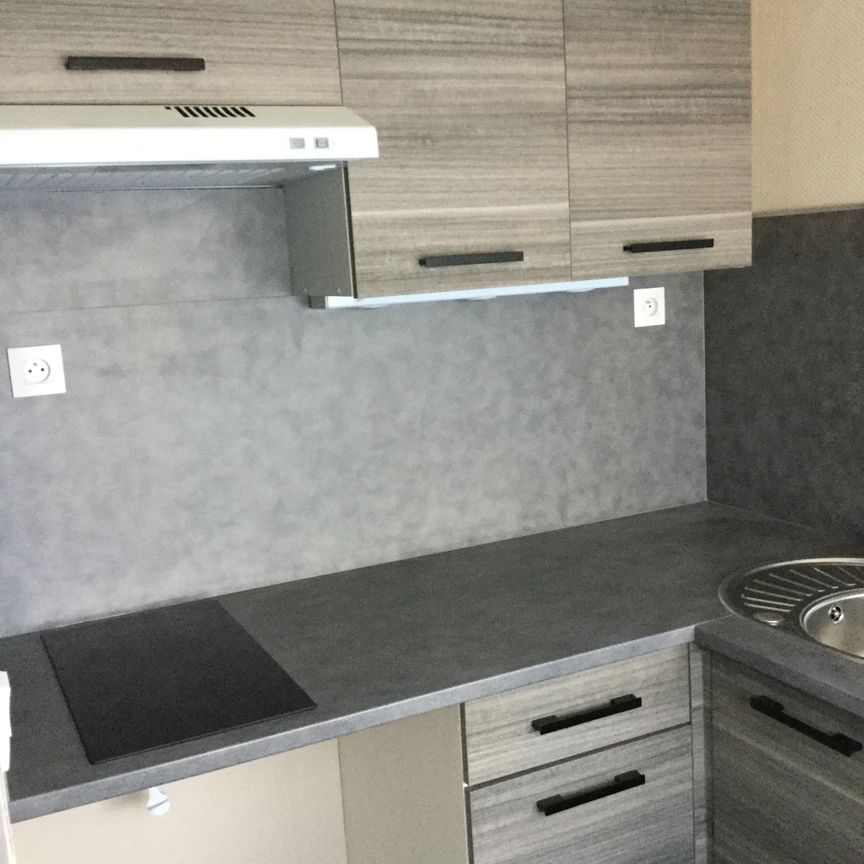 Location Appartement 1 pièce 26m² NEVERS 58000 - Photo 1