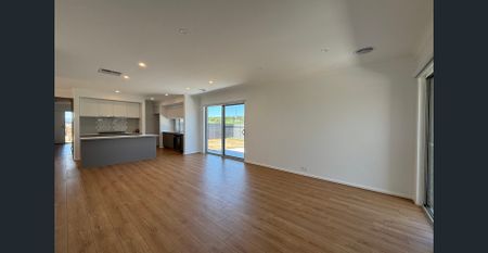 Stunning & Brand New - Photo 2