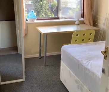 Lichen Green, CV4, Property for rent - Photo 2