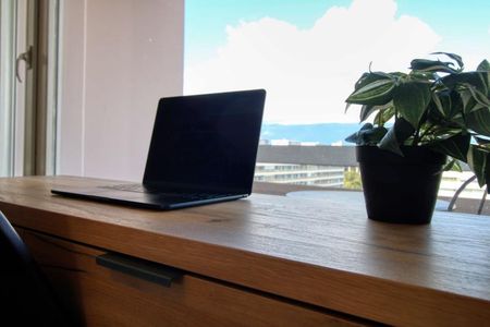 Cecil #3 - Spacious and Modern Coliving in Grand-Saconnex, Geneva - Photo 4