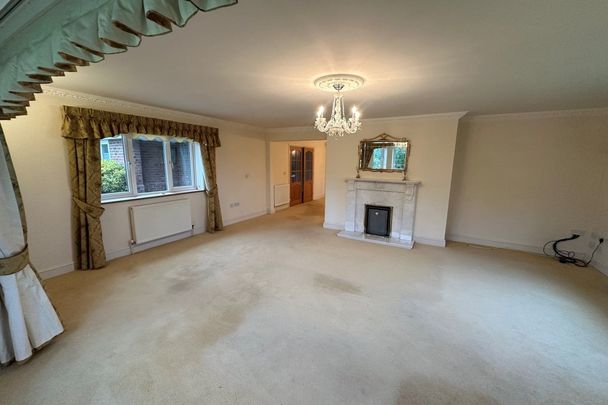 Brandon, Sedge fen - Photo 1