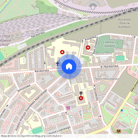 ul. Raciborska, Śródmieście, Katowice, śląskie