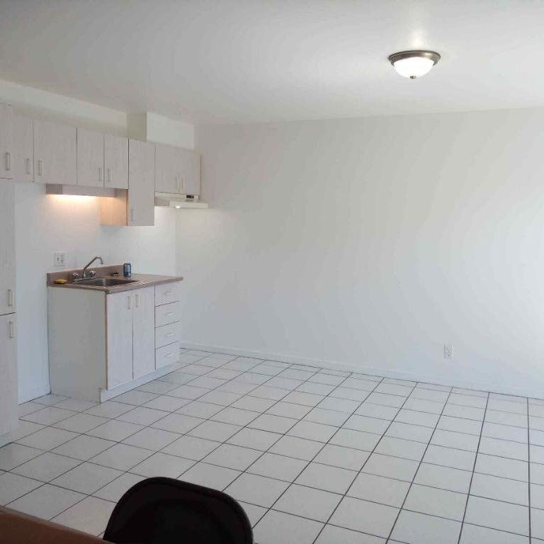 1 1/2 disponible à partir du 15 mai, 3e étage, ascenseur piscine quiétude, vue cour arrière - Photo 1