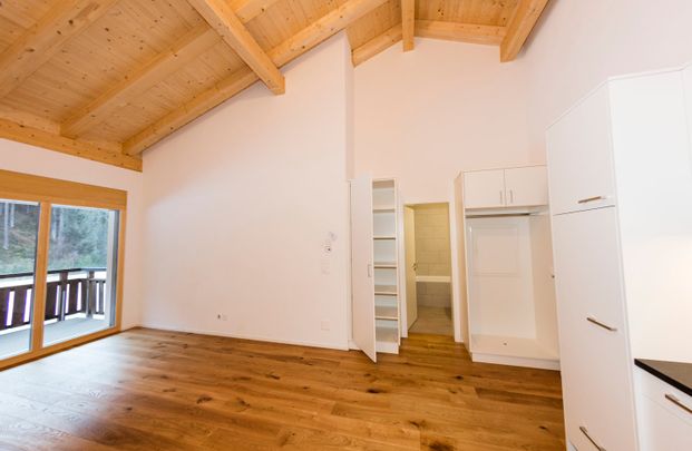Wohnung am Fluss und Waldrand inklusive Aussenparkplatz - Foto 1