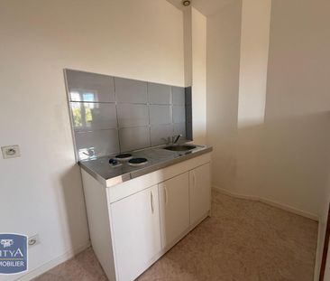 Location Appartement 1 pièce 24m² FLEURIEU SUR SAONE 69250 - Photo 3