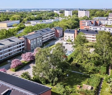 Dag Hammarskjölds väg, Lund - Photo 5