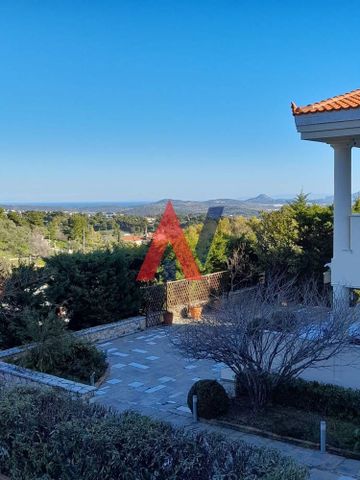 Βίλα για ενοικίαση Παλλήνη - Photo 2