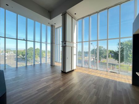 5605 Av. Pierre De Coubertin Montréal (Mercier, QC H1N - Photo 2