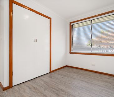 2/471 Ainslie Avenue, Lavington NSW 2641 - Apartment For Rent | Domain - Photo 4
