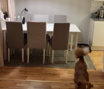 Tvistevägen, Umeå - Photo 4