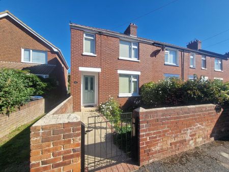 3 bedroom house to rent - Photo 4