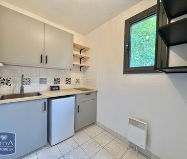 Location Appartement 1 pièce 38m² CALUIRE ET CUIRE 69300 - Photo 5