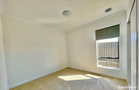 Beautiful 4 Bedroom house in Clyde! - Photo 2