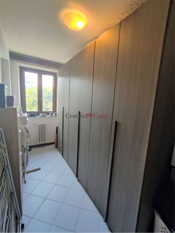 Grazioso tricolare in contesto di corte. - Photo 2