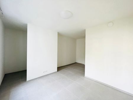Rue Henri Evenepoel Straat, 1030, Schaarbeek - Photo 3