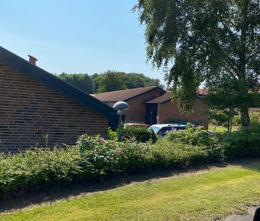 Pilevej 126, Glyngøre, 7870 - Photo 6