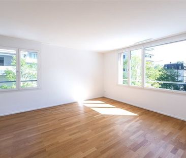 2.5 Zimmer, EG - Photo 2