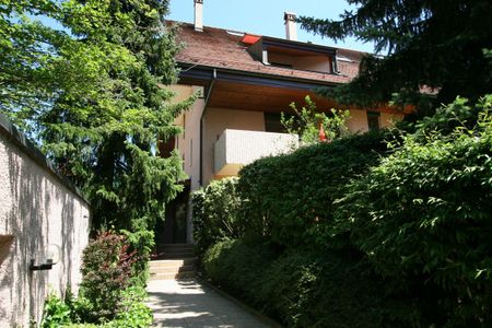 Triplex/Three-level - Photo 3