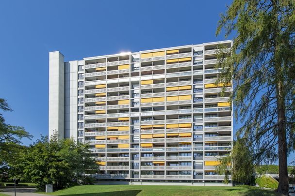 3.5 Zimmer, 74 m², 12. Stock - Photo 1