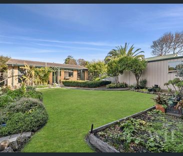 Home, Sweet Home - Photo 6