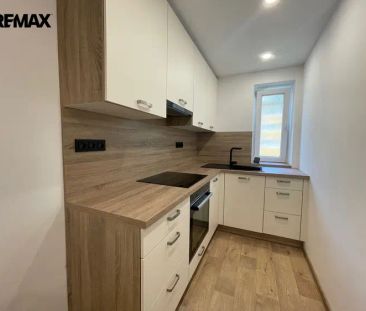 K pronájmu útulný byt 3+1 v přízemí – ideální pro klidné bydlení i ... - Photo 4