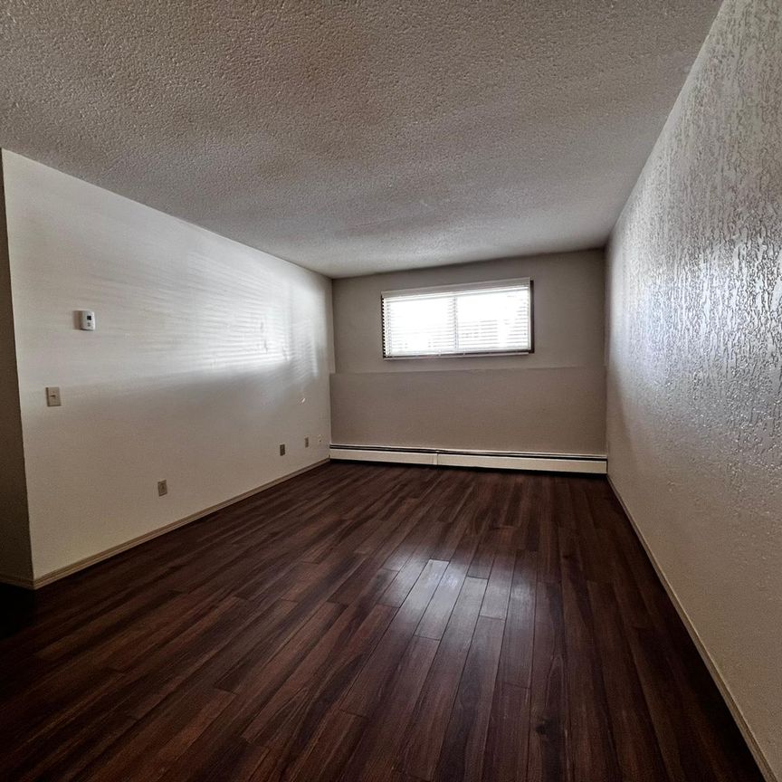 Spacious 2 Bedroom Unit in Innisfail! - Photo 1