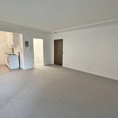 Bright and Spacious Studio for Rent in the West End - Photo 3