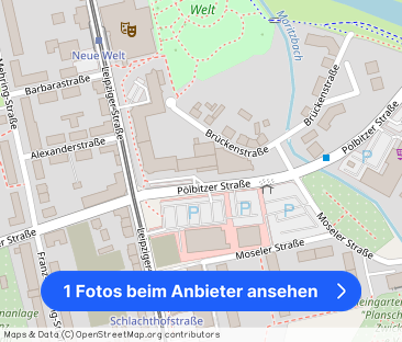 Großzügige 2-Zimmer mit EBK, Loggia, Wanne, Aufzug und Laminat in z... - Foto 1