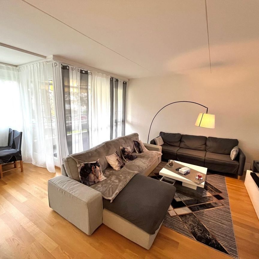 3 room apartment in Chêne-Bourg - Foto 1