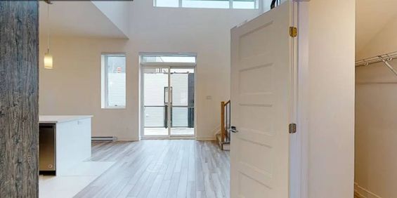 8 Rue Marjorie-D.-Shackleton (Plateau) Grand 2cc Tout Compris - Photo 3