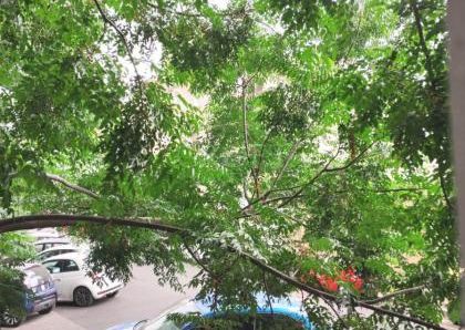 Monteverde Vecchio: Modern 2 bedroom, 2 bath, large living room, separate kitchen. Bright, silent, parquet floors, situated in lovely period building, excellent area, near park. Ref. 2364.