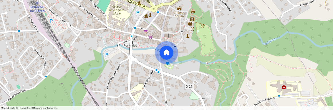 74800, La Roche Sur Foron