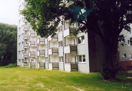 Demnächst frei! 3-Zimmer-Wohnung in Detmold Knochenbach - Photo 5