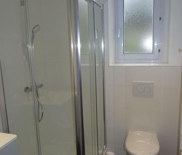 Location Appartement 1 pièce 42m² BREST 29200 - Photo 5